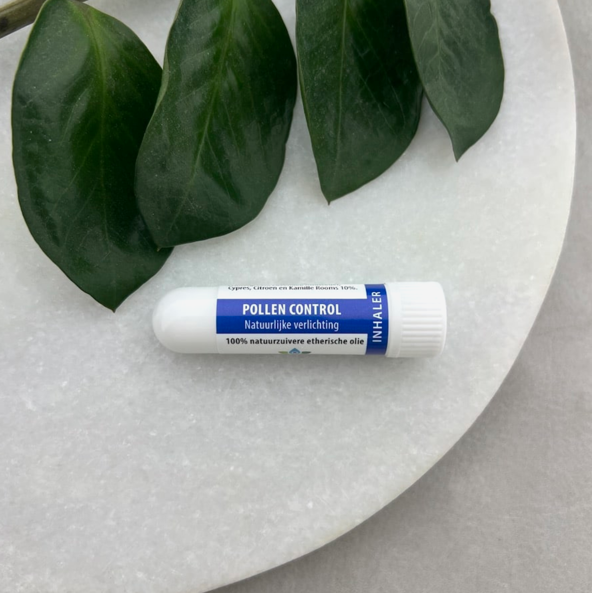 Pollen control inhaler